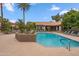 Relax at the community pool with plenty of seating, lush palms and well-maintained landscaping at 9600 N 96 Th St # 130, Scottsdale, AZ 85258