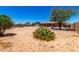 Large backyard with desert landscaping and ample space for outdoor activities at 975 E Lincolnwood Cir, Casa Grande, AZ 85194
