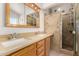 Main bathroom featuring dual sinks and an enclosed walk-in shower at 975 E Lincolnwood Cir, Casa Grande, AZ 85194