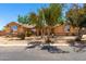 Charming single-story home featuring desert landscaping and mature trees for added curb appeal at 975 E Lincolnwood Cir, Casa Grande, AZ 85194