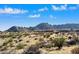 Scenic desert landscape with native plants, mountains in the background, and scattered houses at 0 N 128Th St, Scottsdale, AZ 85255