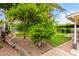 Lush backyard featuring an orange tree and green lawn with shaded patio at 1609 E Williams N St, Tempe, AZ 85281