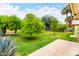Expansive backyard featuring lush green grass, mature trees, and a concrete patio, perfect for outdoor entertaining at 1609 E Williams N St, Tempe, AZ 85281