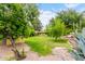 Lush backyard with mature trees, a well-kept lawn, and a vibrant yellow home in the background at 1609 E Williams N St, Tempe, AZ 85281