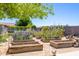 Backyard garden area with raised garden beds with flowers and plants at 18051 E Happy Rd, Queen Creek, AZ 85142