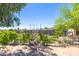 Backyard garden area featuring raised garden beds with flowers and plants at 18051 E Happy Rd, Queen Creek, AZ 85142