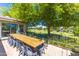 Expansive backyard with ample seating, lush greenery, and a large shady tree; perfect for outdoor entertaining at 18051 E Happy Rd, Queen Creek, AZ 85142
