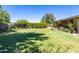 Lush backyard with a well-maintained lawn, mature trees, and colorful flowerbeds, ideal for outdoor activities at 18051 E Happy Rd, Queen Creek, AZ 85142