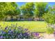 Charming single-story home with a lush green lawn and colorful flowers in the front yard at 18051 E Happy Rd, Queen Creek, AZ 85142