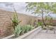 Block wall and desert landscaping, including agave plants and trees at 18624 W Cathedral Rock Dr, Goodyear, AZ 85338