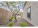 Landscaped side yard with rock ground cover, shrubs, and trees at 18624 W Cathedral Rock Dr, Goodyear, AZ 85338