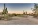 Scenic golf course view with native desert vegetation and winding paved path at 1950 E Dust Devil Dr, San Tan Valley, AZ 85143