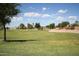 Wide open green space in a community featuring a playground and lush surroundings for outdoor enjoyment at 36197 W Cartegna Ln, Maricopa, AZ 85138