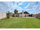 Expansive backyard features a play structure, lush lawn, and mature landscaping, offering endless outdoor fun at 4115 W Danbury Dr, Glendale, AZ 85308