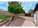 Brick patio area with tree offering shaded retreat in the backyard at 4115 W Danbury Dr, Glendale, AZ 85308