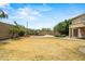 Expansive backyard with lush palm trees, beautiful landscaping, and ample space for outdoor activities at 6245 W Maya Dr, Phoenix, AZ 85083