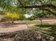 Scenic view of the community park featuring a walking path and mature desert trees at 936 E Gila Ln, Chandler, AZ 85225