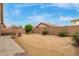 Expansive backyard featuring low-maintenance desert landscaping and mature trees at 11410 W Davis Ln, Avondale, AZ 85323