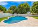 Backyard oasis with sparkling pool, travertine surround, lush lawn, and privacy landscaping at 1253 E Ivanhoe Ct, Gilbert, AZ 85295
