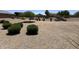 Expansive desert landscaped backyard featuring manicured bushes and shade trees at 16280 W Durango St, Goodyear, AZ 85338