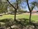 Community park featuring mature trees, green grass, and picnic pavilion, perfect for outdoor recreation and relaxation at 16280 W Durango St, Goodyear, AZ 85338