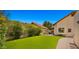 Landscaped backyard with artificial grass, patio, and flowering trees at 1910 E Citation Ln, Tempe, AZ 85284