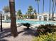 Inviting community pool with beautiful flowers and palm trees at 2100 W Lemon Tree Pl # 59, Chandler, AZ 85224