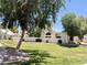 Charming single-story home with a lush green front yard and mature trees for added curb appeal at 2100 W Lemon Tree Pl # 59, Chandler, AZ 85224