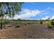 Backyard view of rolling golf course landscape and desert vegetation at 27105 W Marco Polo Rd, Buckeye, AZ 85396