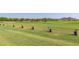 View of Golf Course driving range with black golf bags at 27105 W Marco Polo Rd, Buckeye, AZ 85396
