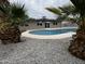 Backyard pool featuring a concrete surround, gravel landscaping, and palm trees at 3021 E Shangri La Rd, Phoenix, AZ 85028