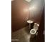 Stylish powder room featuring a pedestal sink, mirror, and decorative lighting fixtures at 3057 E Pinto Valley Rd, San Tan Valley, AZ 85143