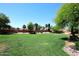 Expansive lush backyard featuring manicured lawn and mature landscaping with mature trees and shrubs at 3122 E Kristal Way, Phoenix, AZ 85050