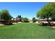 Picturesque backyard with a large green lawn, mature trees, and manicured landscaping, creating a serene outdoor space at 3122 E Kristal Way, Phoenix, AZ 85050