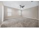 Spacious bedroom with a ceiling fan, two windows, and carpet flooring at 10743 W Bronco Trl, Peoria, AZ 85383