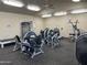 A modern community gym featuring an array of weight and strength-training equipment at 11342 E Laguna Azul Cir, Mesa, AZ 85209