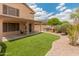 Home's backyard has a covered patio, turf, an outdoor kitchen, and a block wall for privacy at 20809 N 1St Ave, Phoenix, AZ 85027
