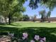 Well-maintained community park with green lawn, trees, and a basketball court at 2150 S Lorena --, Mesa, AZ 85209
