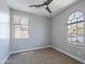Well-lit bedroom featuring neutral walls, carpet flooring, and large windows with window blinds at 4467 S 116Th Ln, Avondale, AZ 85323