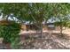 Quaint single-story home with mature landscaping and charming curb appeal at 5210 W Ironwood Dr, Glendale, AZ 85302