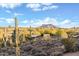 Desert landscape featuring cactus and mountain views at 6524 E Rockaway Hills Dr, Cave Creek, AZ 85331