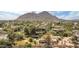 Aerial view of lush property with mature trees, a pool, and mountain views provides a serene setting at 6735 E San Juan Ave, Paradise Valley, AZ 85253