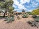 Charming single-story home with desert landscaping and native plants at 6735 E San Juan Ave, Paradise Valley, AZ 85253