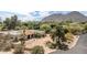 Elegant home exterior with a lush landscaped yard, a circular driveway, and desert foliage at 6735 E San Juan Ave, Paradise Valley, AZ 85253