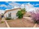 Backyard featuring desert landscaping, native plants, and a view of the home's exterior at 1019 N Monterey St, Gilbert, AZ 85233