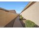 A paved walkway runs alongside the house with greenery and privacy wall at 10613 E Nacoma Dr, Sun Lakes, AZ 85248