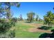 Expansive golf course view with lush green fairways and mature trees at 11000 N 77Th Pl # 2042, Scottsdale, AZ 85260