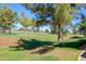 Expansive green space with mature trees, offering a peaceful and picturesque setting at 11000 N 77Th Pl # 2042, Scottsdale, AZ 85260