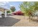 Landscaped backyard with desert vegetation and a covered patio for outdoor enjoyment at 1216 E Rowlands Ln, Phoenix, AZ 85022