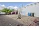 Low maintenance backyard with desert landscaping, mature trees, and private fencing at 1216 E Rowlands Ln, Phoenix, AZ 85022